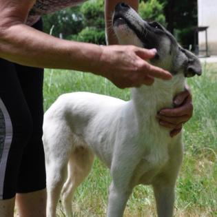 Zola / Status sucht ein Zuhause