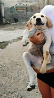Pull - Munteres Mitglied einer Großfamilie sucht Sie