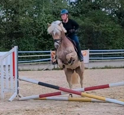 Suche Amb. RB für jungen Sporthaflinger