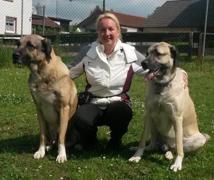 Mobile Hundeschule Pfotenteam
