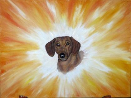 Hunde - Energiebild