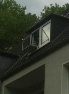 Katzenloggia, Fensterbalkon für Katzen, Katzenbalkon