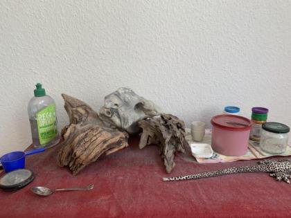 2 Leopardengeckos inkl. 2 Terrarien