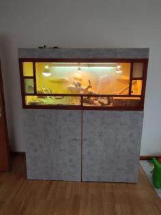 Bartagame mit Terrarium und Unterschrank