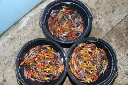 Koi - Teichfische - Muscheln - Krebse schon jetzt für 2021 bestellen