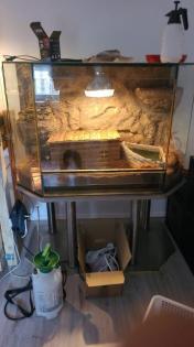2 Kaiserboa