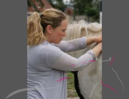 Osteopathie, Physiotherapie Chiropraktik für Pferde