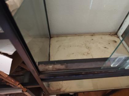 Chamäleon Terrarium zu verkaufen