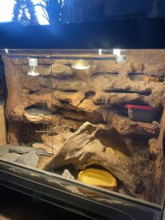 Leopardengecko Terrarium