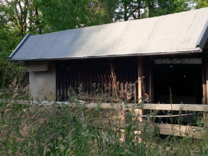 Weide / Koppel mit Wasser für Pferde bei Wachtberg-Berkum