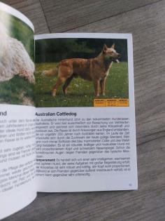 Mehr Freude mit Hunde - Rassen, Eigenschaften, Pflege Tierbuch