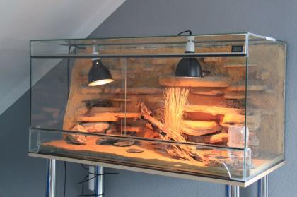 Wunderschönes Terrarium für Geckos mit Zubehör