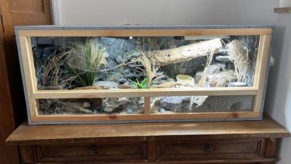 Leopardgecko Terrarium Zubehör