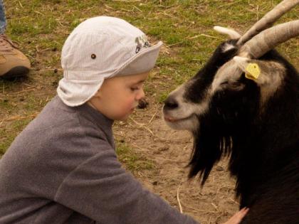 Weiterführung Tierkommunikation