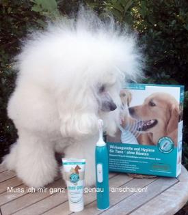 Emmi-Pet Die erste Ultraschall-Zahnbürste für Tiere