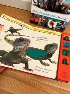 Polnische Kinder Bücher Tierbücher Zwierzeta ksiazki