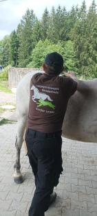 Tierphysiotherapie
