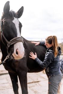 Tierphysiotherapie für Pferd und Hund