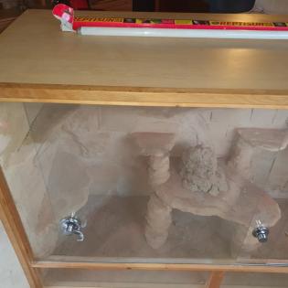 Terrarium mit viel zubehör