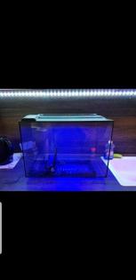 2 sehr schöne Aquarien viel Zubehör