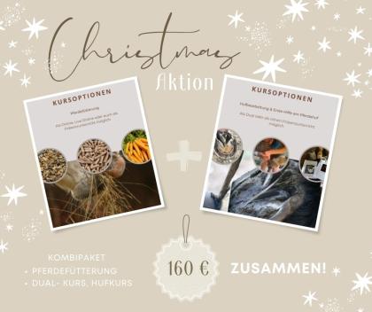 Kurse Rund ums Pferd - Weihnachtsaktion