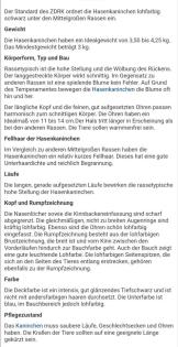 Hasenkaninchen rotbraun/Lohfarbig