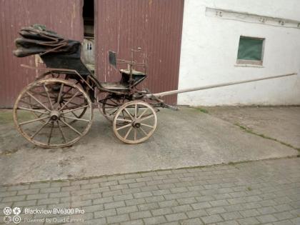 Pferdekutsche