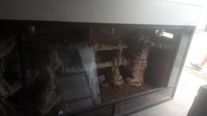 Großes Wüsten - Terrarium bezugsfertig