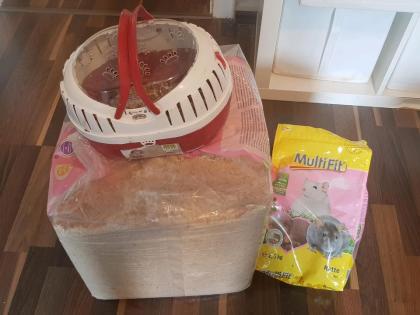Zwei Mäuse Männchen inklusive Gehege und Zubehör