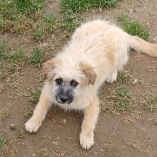 Fido / Status reserviert