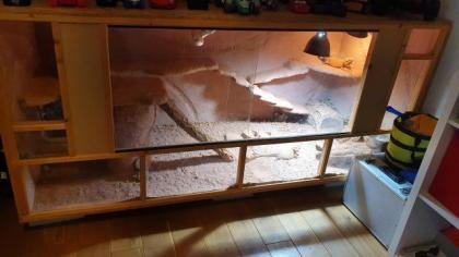 Terrarium mit bartagame XXL