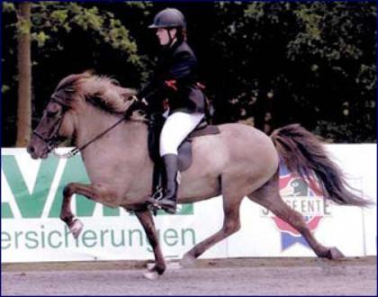 Suche Ferienjob
