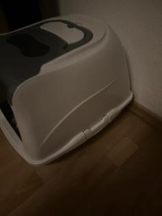 Katzen Toilette