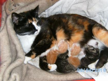 Unsere Bella ist Mama geworden