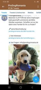 Wem dürfen wir treu zur Seite stehen