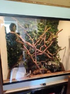 Holzterrarium zu Verkaufen