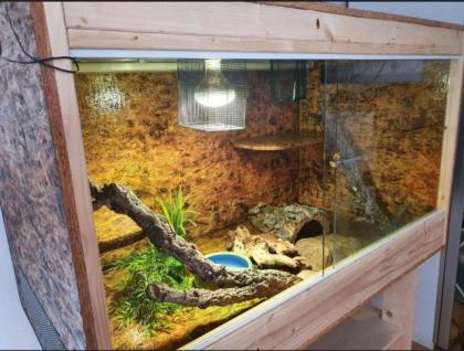 Grosses OSB Terrarium inkl. Komplettem Zubehör