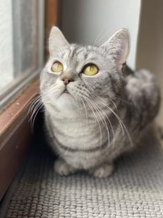 DRINGEND NEUES ZUHAUSE GESUCHT