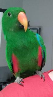 Lucky sucht ein neues Zuhause