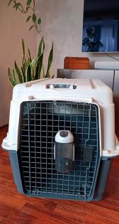 Hundertransportbox AniOne