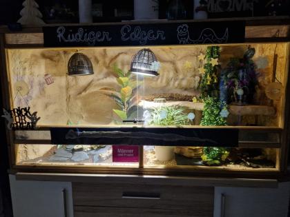Terrarium voll ausgestattet mit Königspython