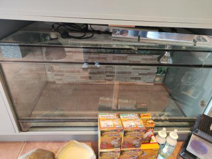 Bartagame m mit großem Terrarium, Quarantäneterrarium inkl. Beleuchtung und viel Zubehör