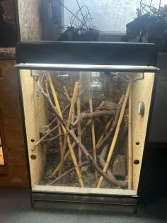 Haltungsaufgabe Kornnatter Terrarium Zubehör
