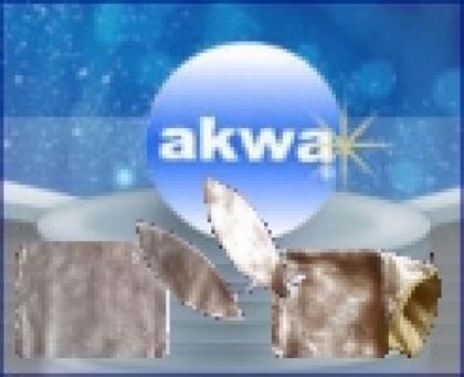 Glänzendes Fell mit akwa