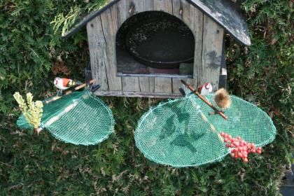 Große Vogelfalle, Bird Trap, Lebendfalle, Kloben