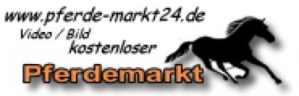 Pferde gesucht