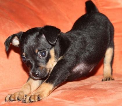 So etwas muss man einfach lieb haben