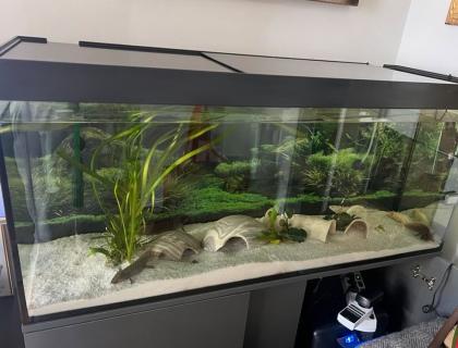 Wassermonster // Lottis // mit Aquarium und Zubehör