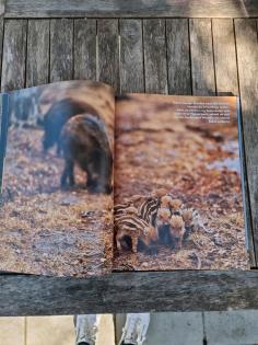 Wunderschönes Tierbuch für Kinder Tierkinder Ravensburger Verlag