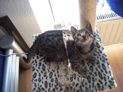 Kater Jameson geboren am 6. 03. 2021